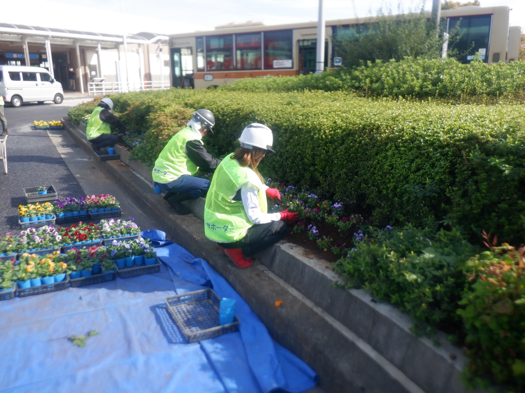 ハマロードサポータ