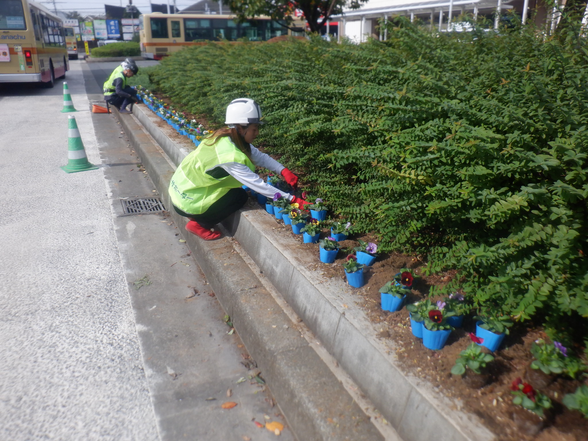 ハマロードサポータ2