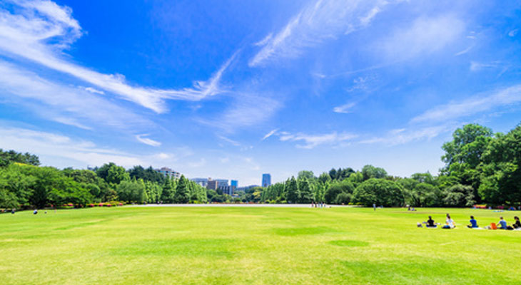 碧葉造園株式会社❘緑地管理・造園工事を行う造園業　1